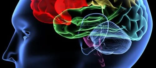 Neuroscope