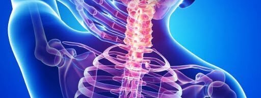 3D medical illustration of a human upper body with a focus on the spine and neck, highlighting the vertebral column in a glowing red color to represent inflammation or discomfort, set against a blue background.